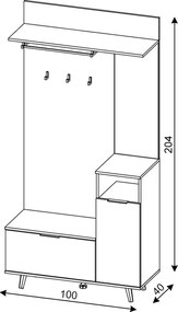 Předsíňová stěna Nordic 100 cm dub Evoke/grafit