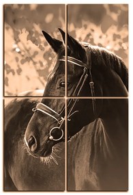 Obraz na plátne - Čierny kôň - obdĺžnik 7220FE (120x80 cm)