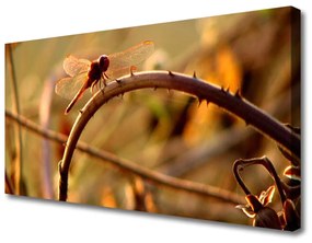 Obraz na plátne Vážka príroda rastlina 100x50 cm