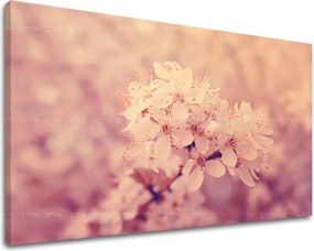 Obraz na stenu KVETY KV049E11 - 40x60 cm