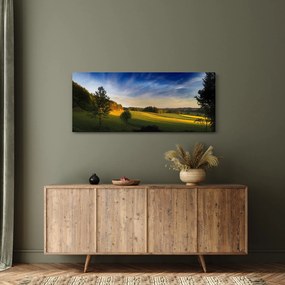 Obraz - Horská lúka (120x50 cm)