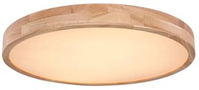 Globo 41745-48 - LED Stmievateľné stropné svietidlo RAINER LED/48W/230V + DO