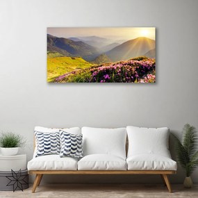 Obraz Canvas Hora lúka krajina 140x70 cm