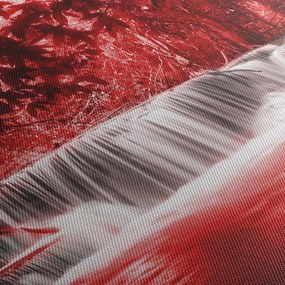Obraz - Červený, vodopád (90x60 cm)