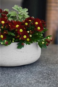 Dekoračná miska PERA, sklolaminát, Ø 27 cm, béžová