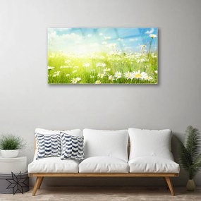 Obraz na skle Lúka sedmokrásky príroda 140x70 cm