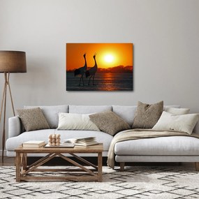 Obraz vtákov pri západe slnka (70x50 cm)