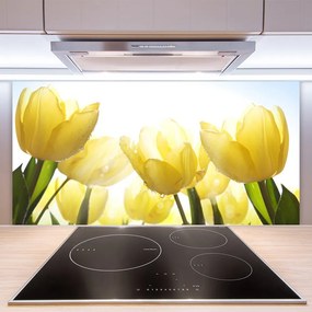Sklenený obklad Do kuchyne Tulipány kvety lúče 125x50 cm