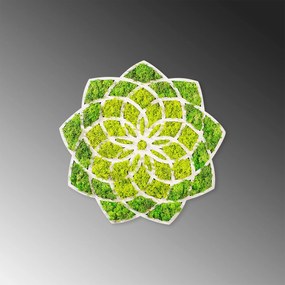 Nástenná MDF dekorácia Sedmokráska zelená