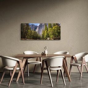 Obraz skál (120x50 cm)