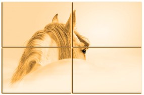 Obraz na plátne - Andalúzsky kôň v hmle 1219FE (150x100 cm)