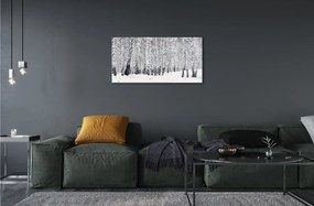Sklenený obraz zimný brezy 100x50 cm