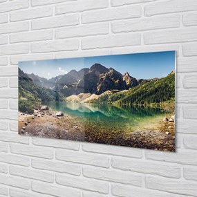 Obraz plexi Jazierka salašnícky 100x50 cm