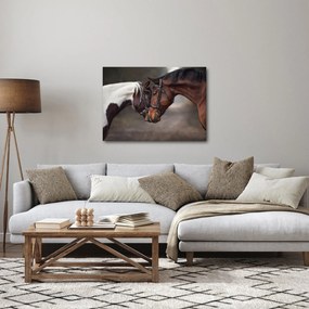 Obraz - Zamilované kone (70x50 cm)