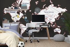 Samolepiaca tapeta jedinečná mapa sveta - 225x150