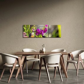 Obraz - spa and stones (s hodinami) (90x30 cm)