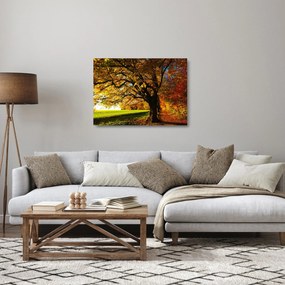 Sklenený obraz jesene (70x50 cm)