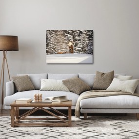 Obraz - Kôň v zimnej krajine (70x50 cm)