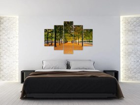 Obraz aleje jesenných stromov (150x105 cm)