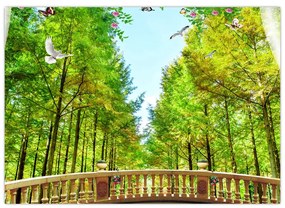 Obraz - Výhľad na les (70x50 cm)
