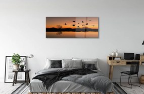 Obraz na akrylátovom skle Lietajúce vtáky sunset 120x60 cm