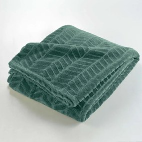 Zelený pléd z mikroflanelu 180x220 cm Arya – douceur d'intérieur