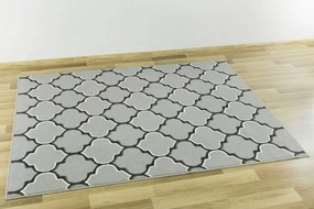 Koberec LUNA 503856/89944 béžový / hnedý