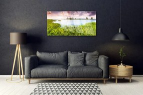 Obraz plexi Tráva jazero príroda 100x50 cm