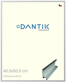 DANTIK rám na obraz 40x50 | ALU Stříbrná matná (Plexi Čiré)