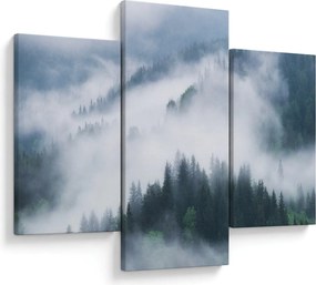Obraz - Stromy v hmle (90x60 cm)