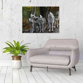 Obraz - Vlci na skale (70x50 cm)
