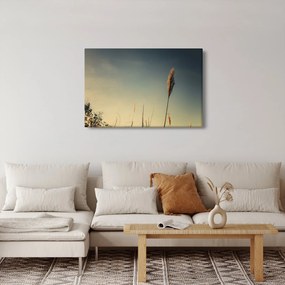 Obraz s trávou (90x60 cm)
