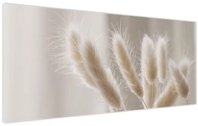 Obraz - Zajačie chvostíky (120x50 cm)