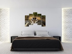 Obraz na stenu - zvieratá