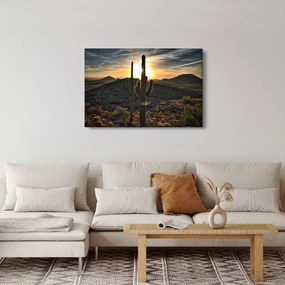 Obraz - kaktusy v slnku (90x60 cm)
