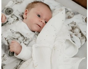 Mušelínové zavinovacie plienky z BIO bavlny Natural 2 ks