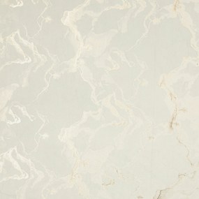 ZATEMŇOVACÍ ZÁVES NA KRÚŽKOCH RAJA 140X250 CM VZOROVANÁ