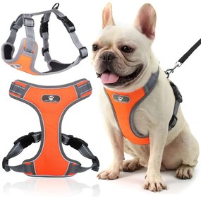 Postroj pre psov Astro M oranžový