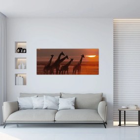 Obraz - Žirafy v africkej savane (120x50 cm)