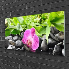 Skleneny obraz Kvety orchidea kamene zen 140x70 cm