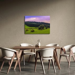 Obraz lúky (70x50 cm)