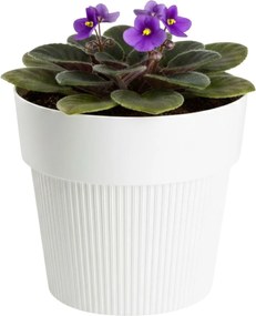 PLASTOVÝ KVETINÁČ SILVA LINE 14,5X13 CM KRÉMOVÁ