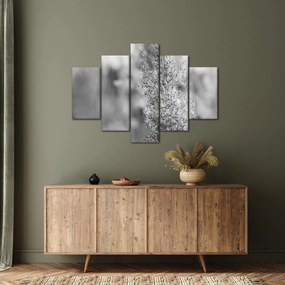 Obraz - Boho pampas grass (150x105 cm)