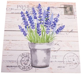 Obraz na plátne s levanduľou Post Card, 40 x 40 cm