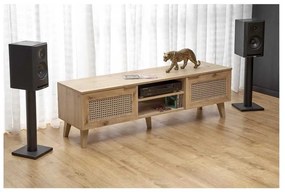 TV stolík Rustico, dub artisan