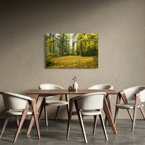 Obraz - les v jeseni (90x60 cm)