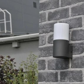 Vonkajšie nástenné svietidlo DALLAS 1xE27/12W/230V IP44 antracit