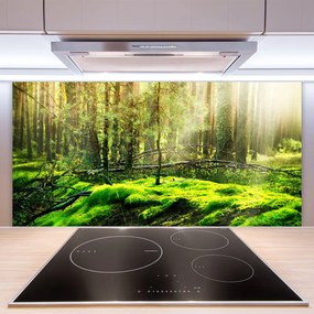 Nástenný panel  Mech les príroda 120x60 cm