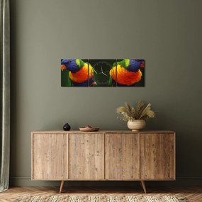Obraz papagájov (s hodinami) (90x30 cm)