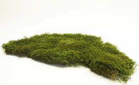 Stabilizovaný plochý mach 0,5m²